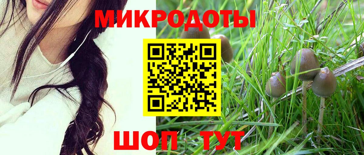 Галлюциногенные грибы Cubensis  Вход с VPN  Сергиев Посад 