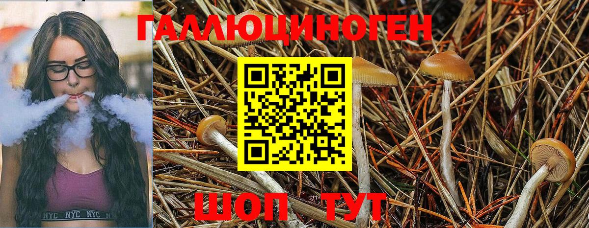 Псилоцибиновые грибы GOLDEN TEACHER Сергиев Посад